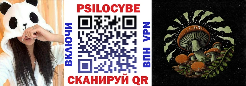 Галлюциногенные грибы Cubensis  Купить  Красавино 
